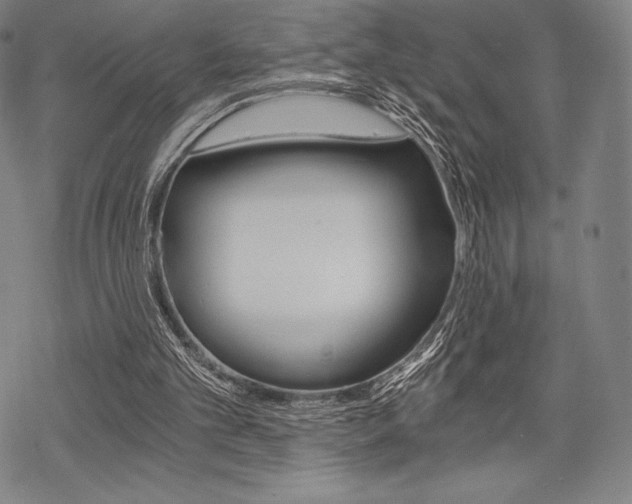 X0000068830101200605050928