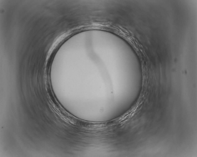 X0000068830102200605050928