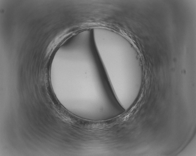 X0000068830103200605050928