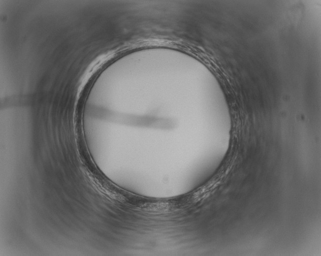 X0000068830104200605050928