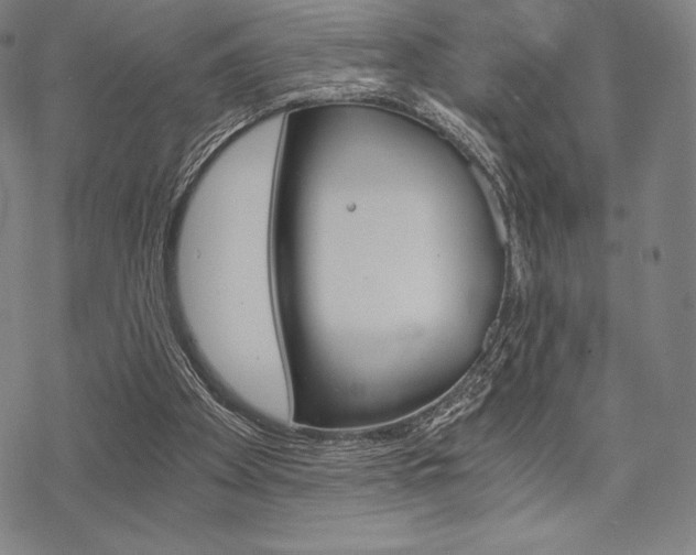 X0000068830105200605050928