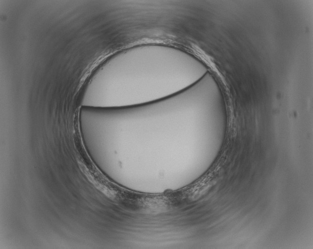 X0000068830106200605050928