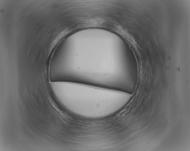 X0000068830107200605050928