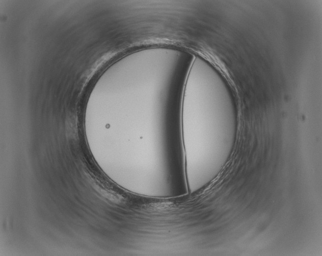 X0000068830108200605050928