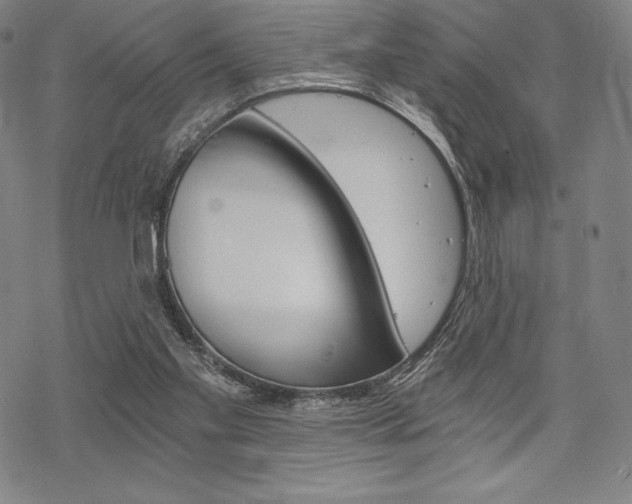 X0000068830109200605050928