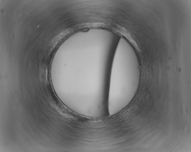 X0000068830110200605050928