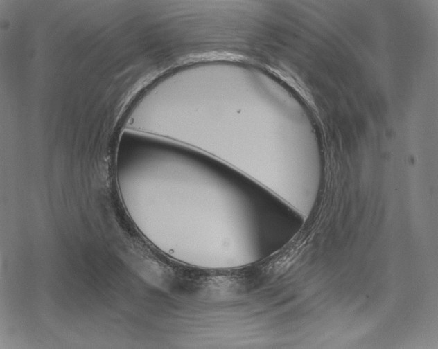 X0000068830111200605050928