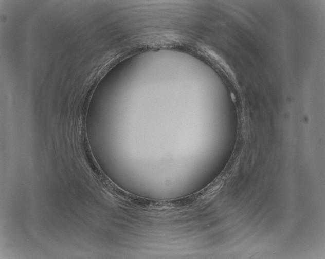 X0000068830113200605050928