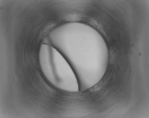 X0000068830114200605050928