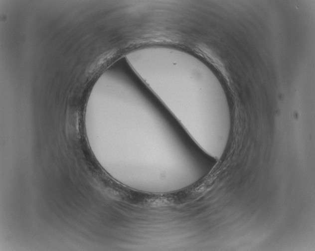 X0000068830115200605050928