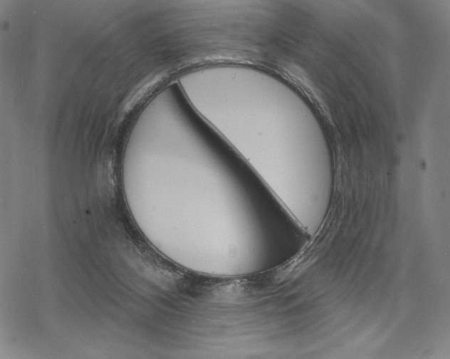 X0000068830116200605050928