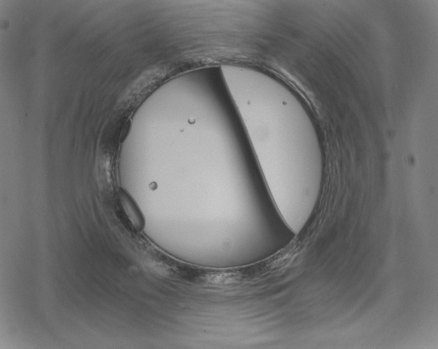 X0000068830117200605050928