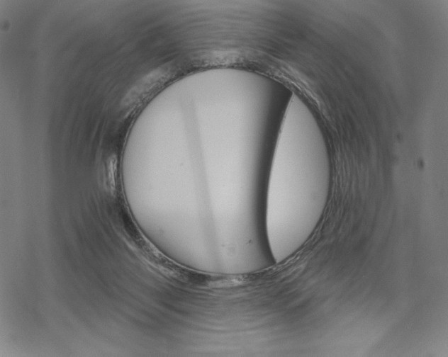 X0000068830118200605050928