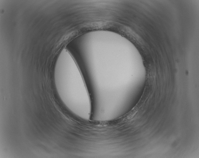 X0000068830119200605050928