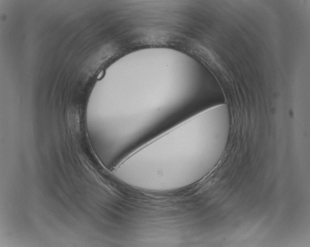 X0000068830120200605050928