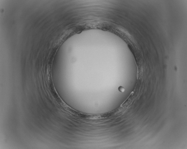 X0000068830121200605050928