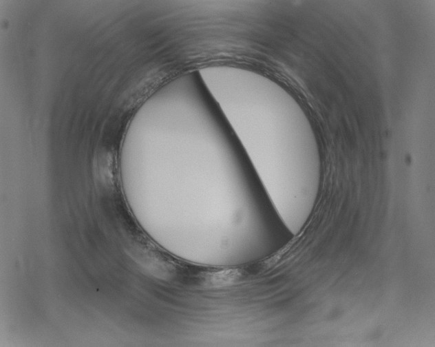 X0000068830122200605050928