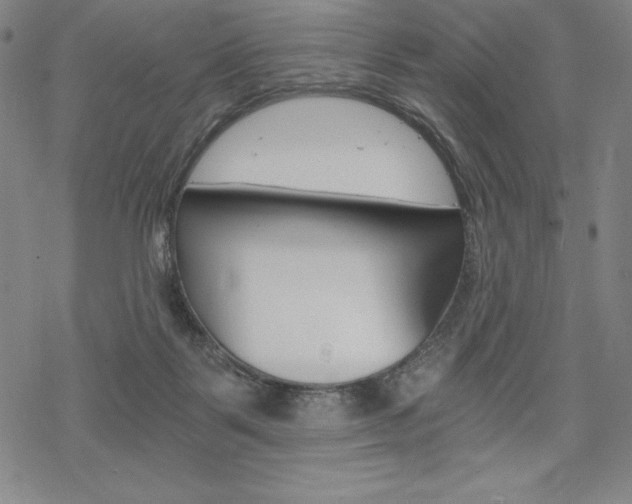 X0000068830123200605050928