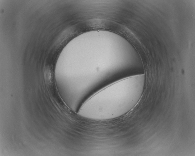 X0000068830124200605050928