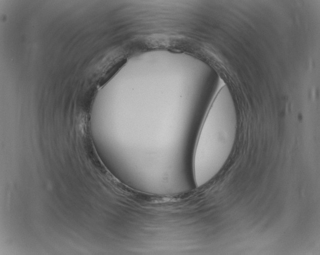 X0000068830125200605050928