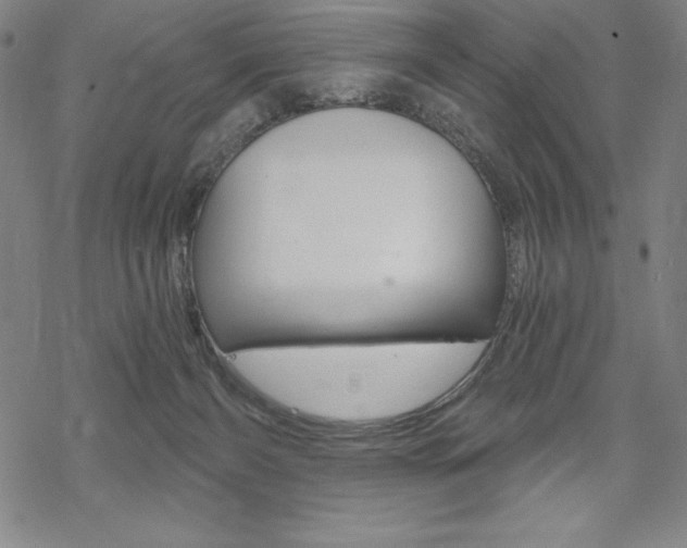 X0000068830126200605050928