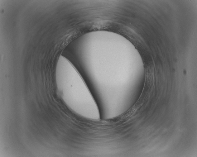 X0000068830127200605050928