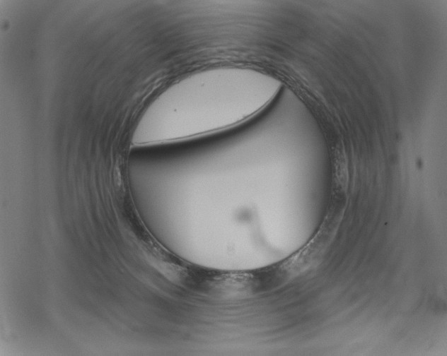 X0000068830128200605050928