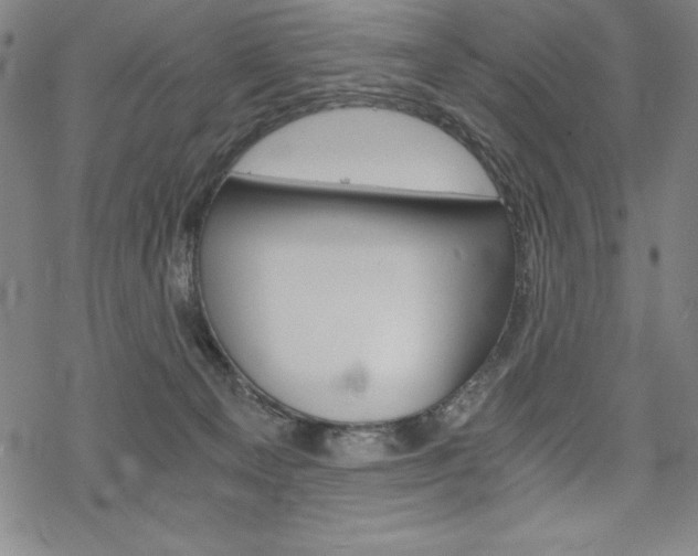 X0000068830129200605050928