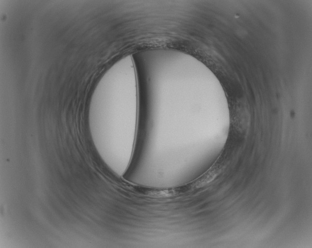 X0000068830131200605050928