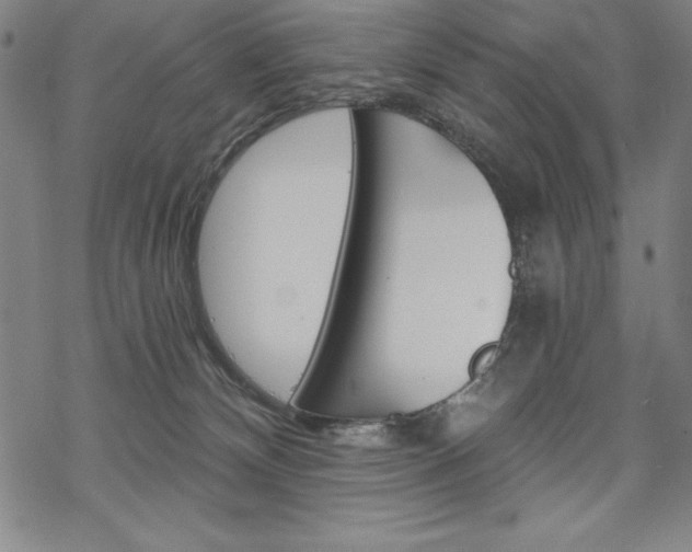 X0000068830132200605050928