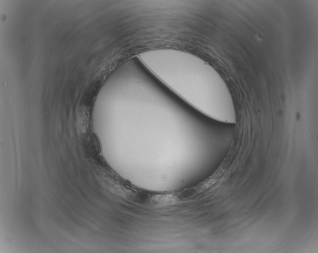 X0000068830133200605050928