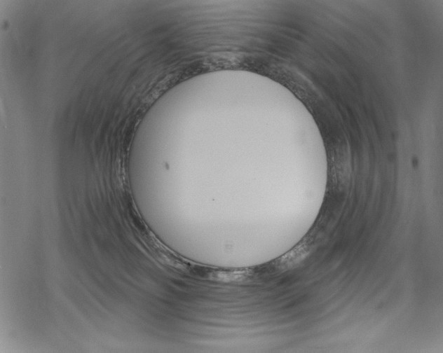 X0000068830134200605050928