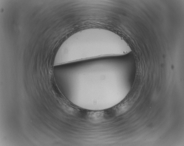 X0000068830135200605050928