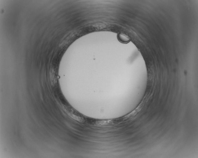 X0000068830136200605050928