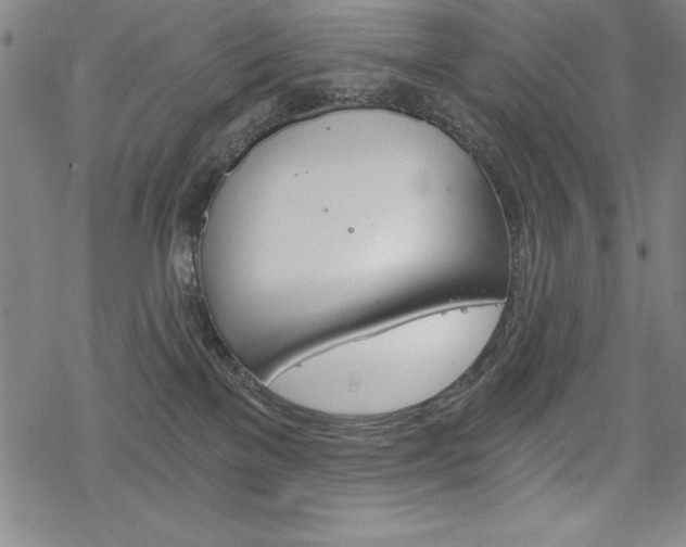 X0000068830137200605050928