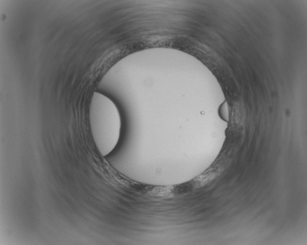 X0000068830138200605050928