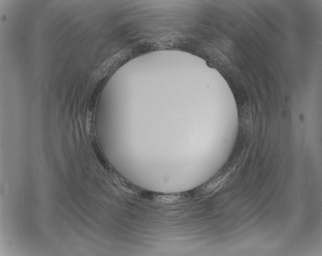 X0000068830139200605050928