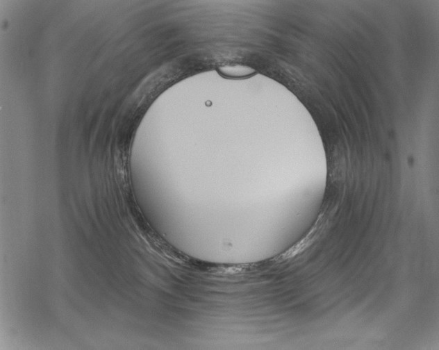 X0000068830140200605050928