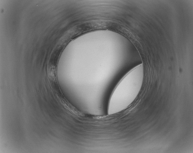 X0000068830141200605050928