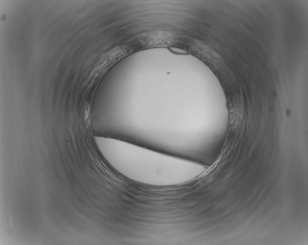 X0000068830142200605050928