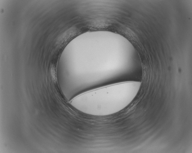 X0000068830143200605050927