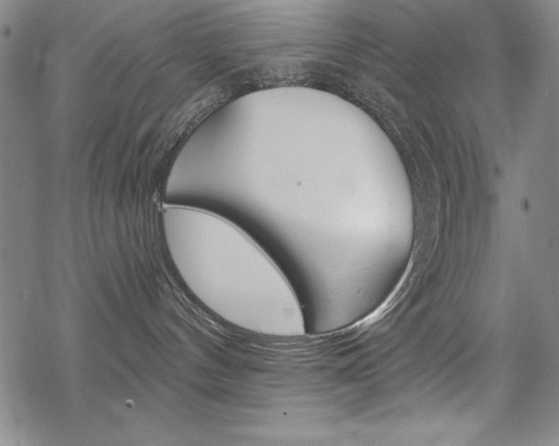 X0000068830144200605050927