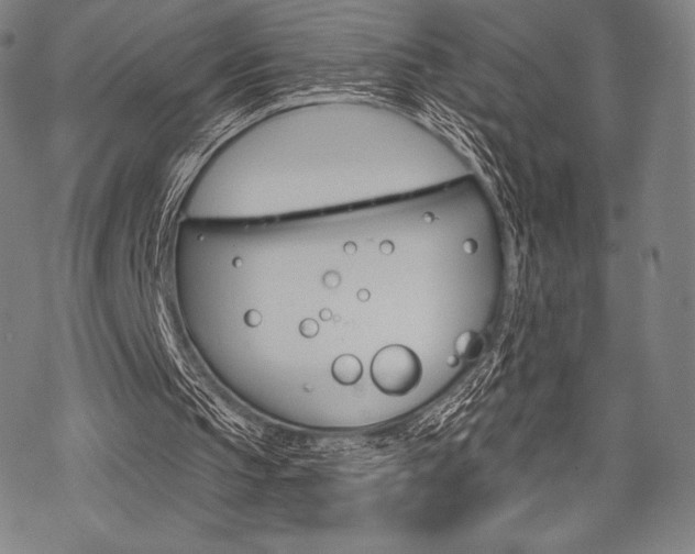 X0000068830145200605050927