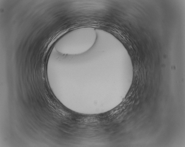 X0000068830146200605050927