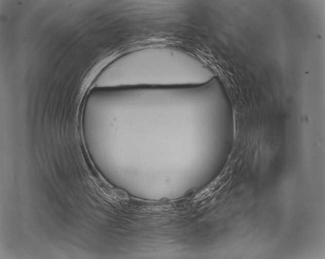 X0000068830147200605050927