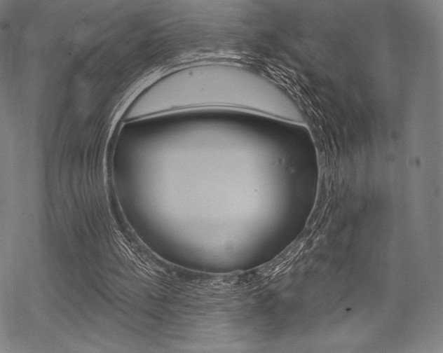 X0000068830148200605050927