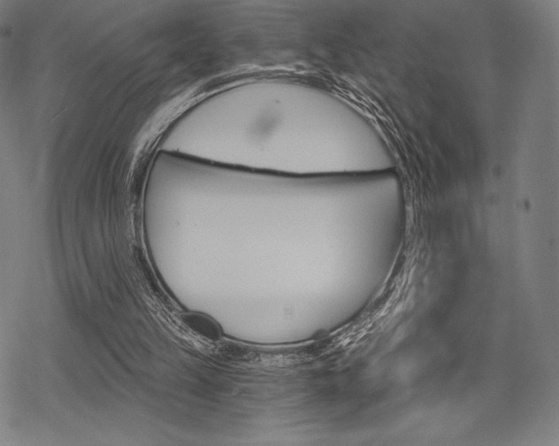 X0000068830149200605050927