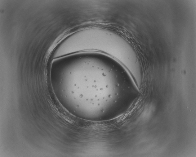 X0000068830150200605050927