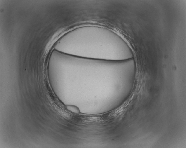 X0000068830151200605050927