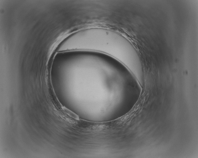 X0000068830152200605050927